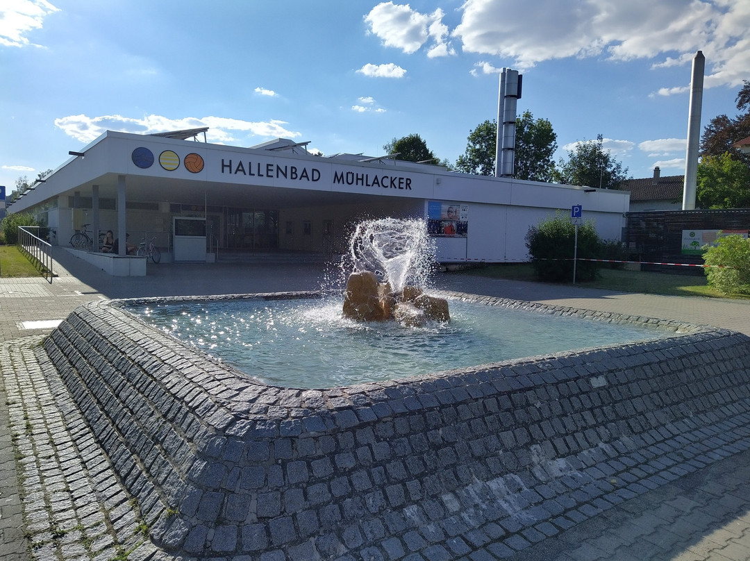 Hallenbad Muhlacker景点图片