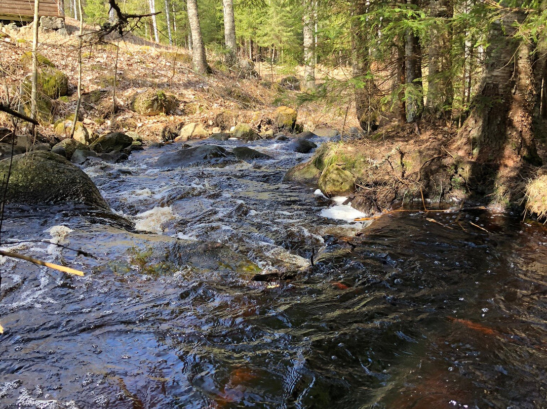 Aurinko Ilves Trail-Asikkala必去景点