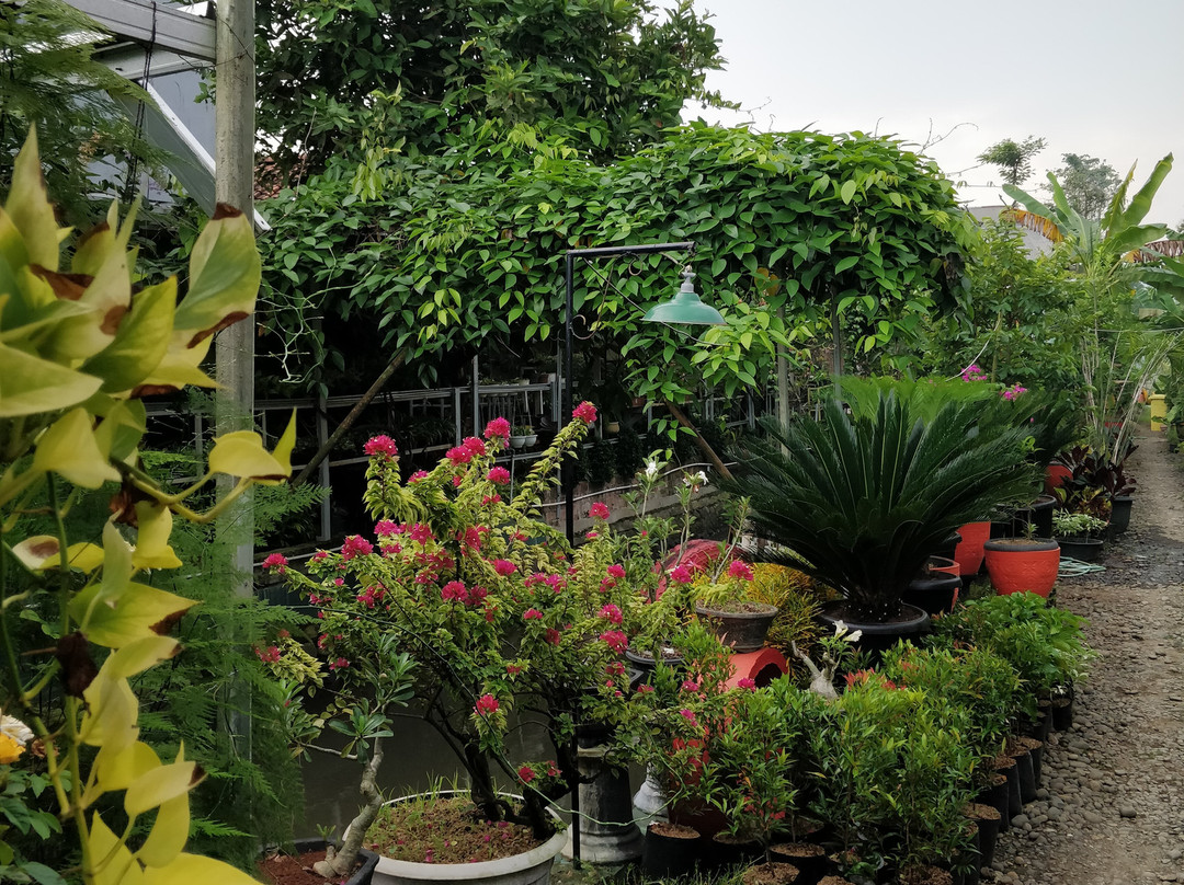 Hotel Purbalingga Bagoes 306主图