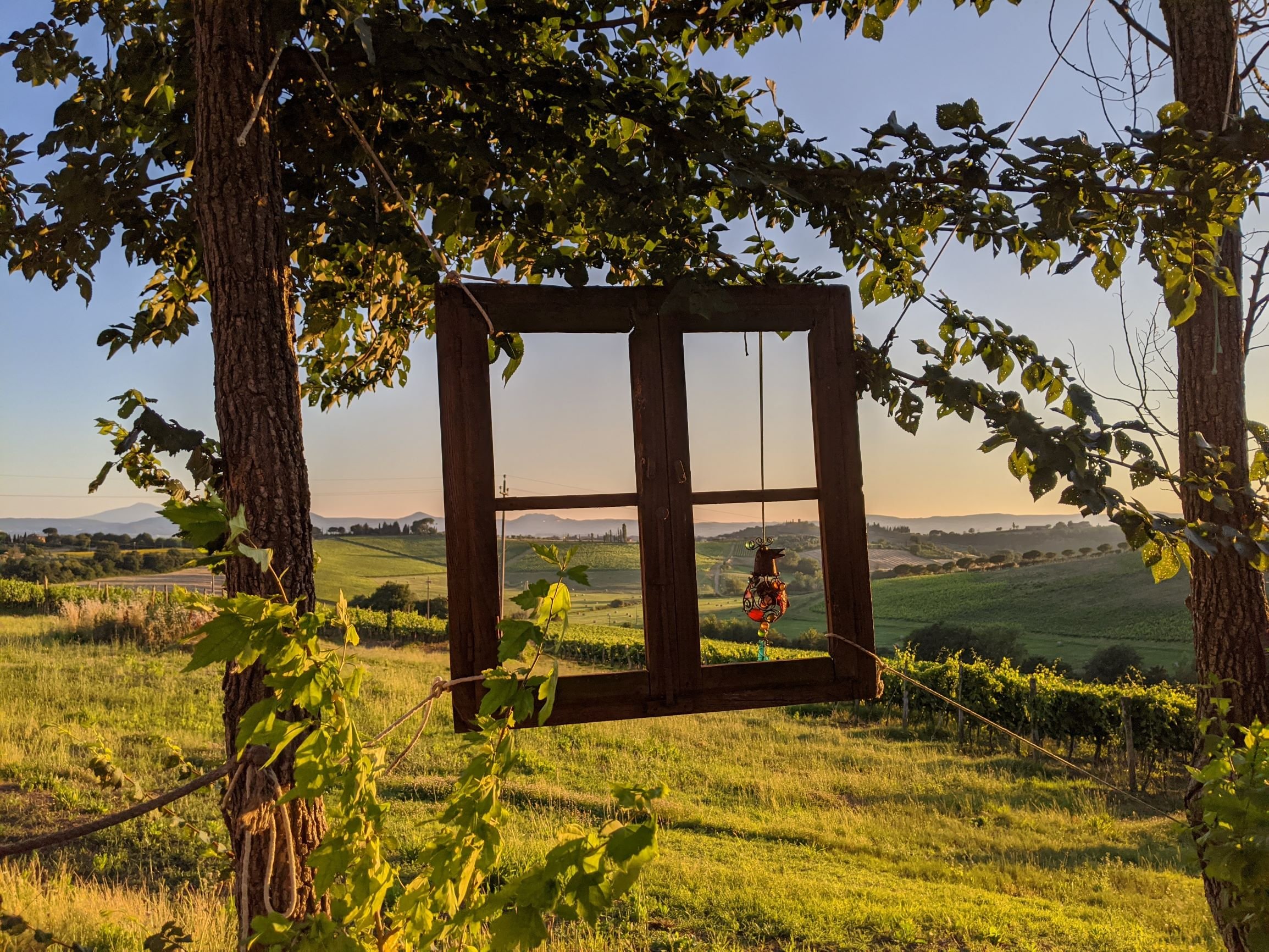 Agriturismo La Terra-餐饮