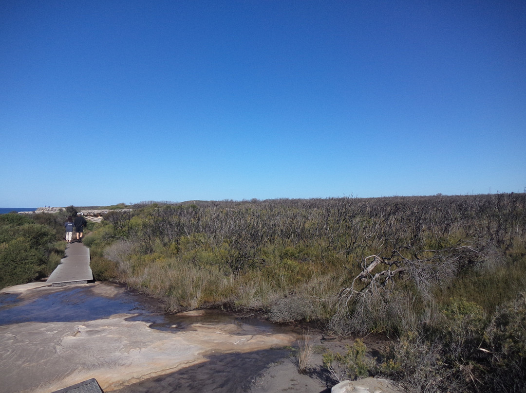 Kamay Botany Bay National Park景点图片
