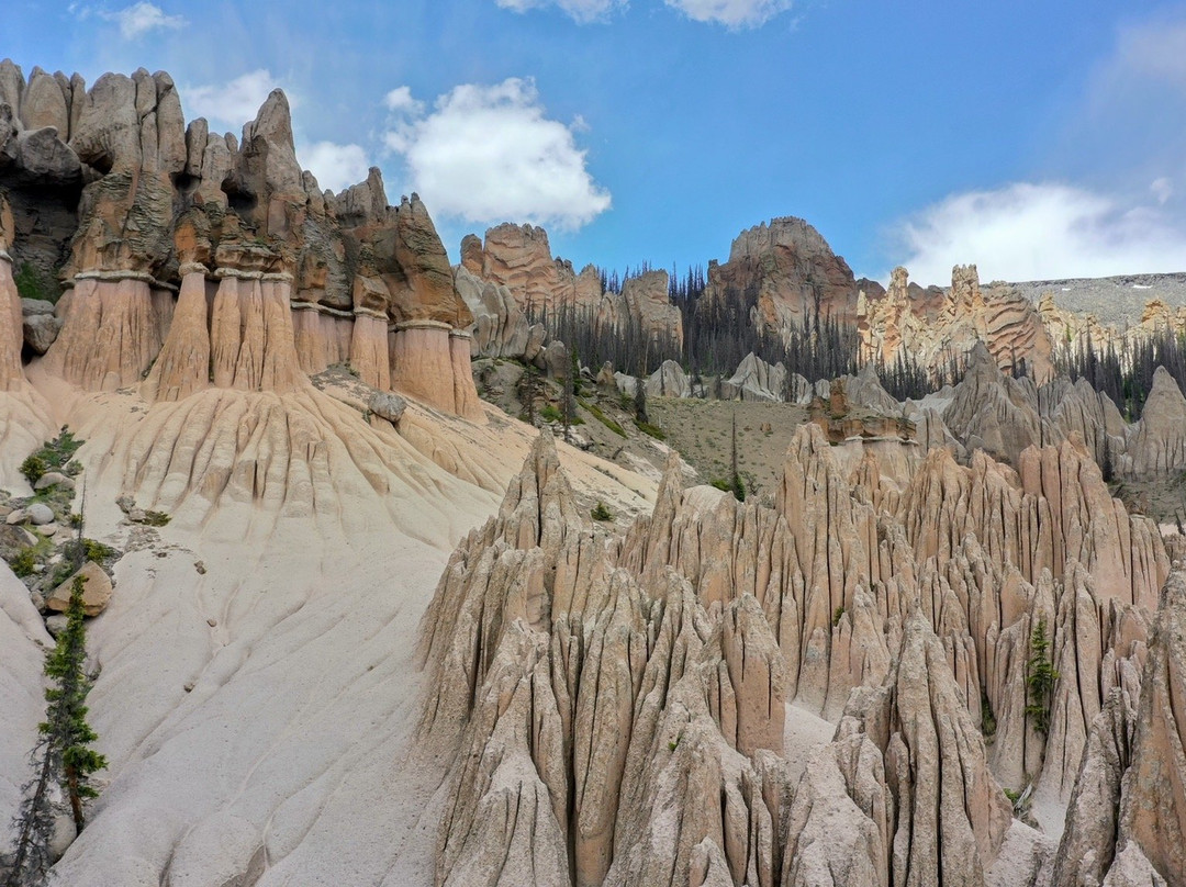 Wheeler Geologic Area-Creede必去景点