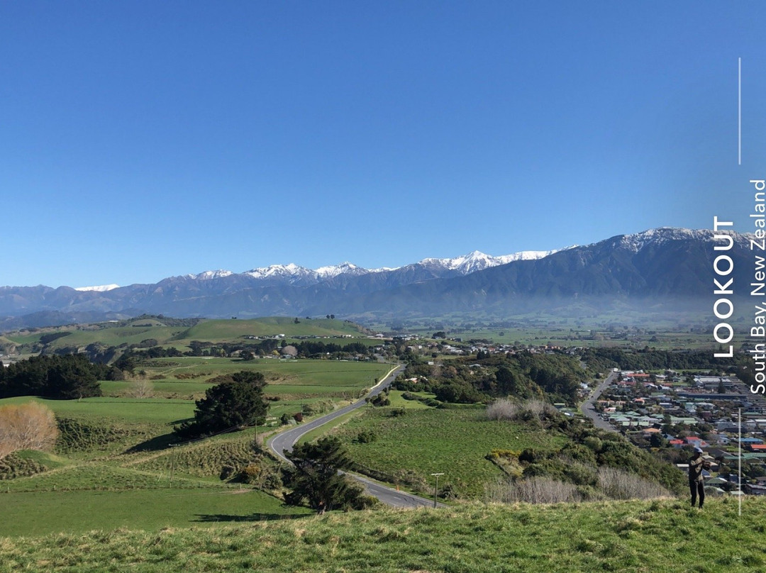 Kaikoura Lookout景点图片