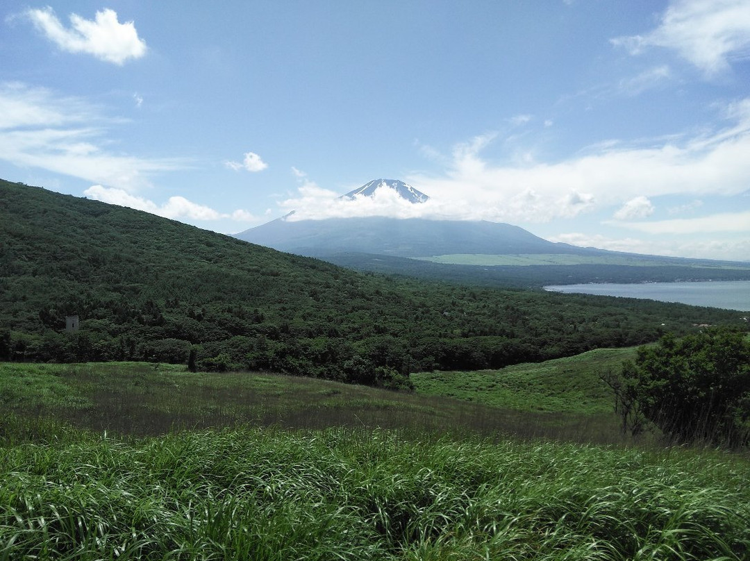 Panoramic Viewing Platform景点图片