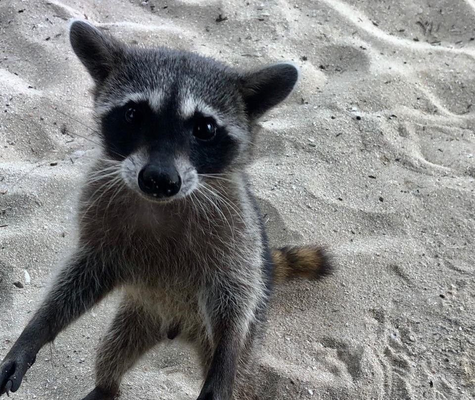 Playa Palancar Cozumel Beach Club-考祖梅必去景点