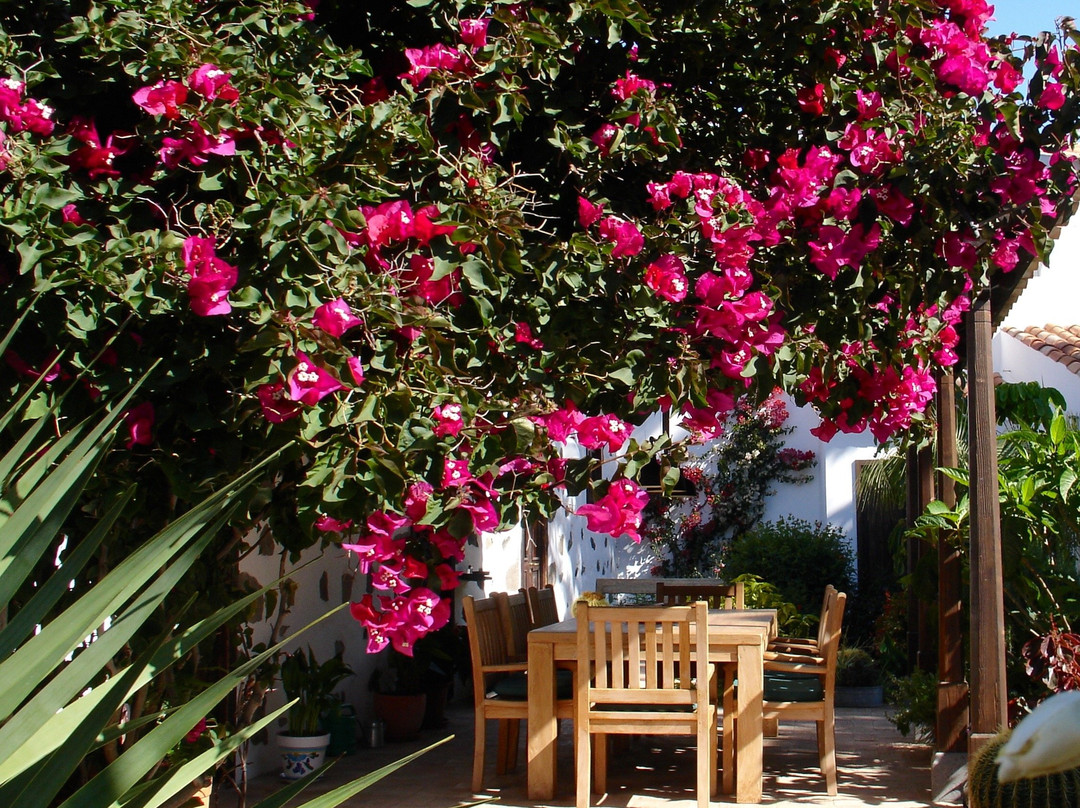 Casa Rural Palomar主图