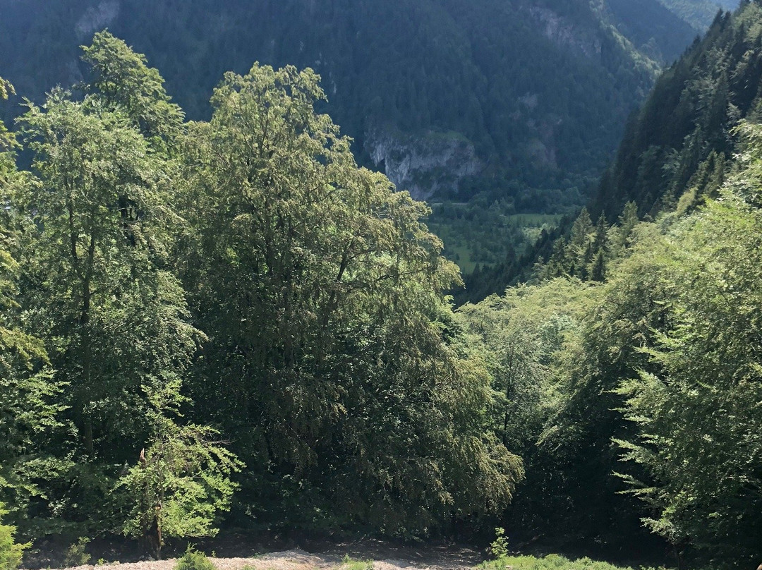 Kofel-奥伯阿默高必去景点