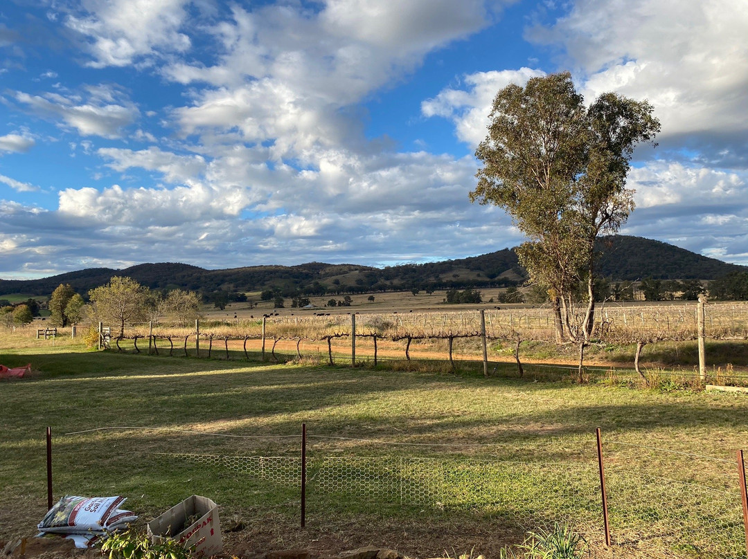 Blacklea Vineyard & Olive Grove-马奇必去景点