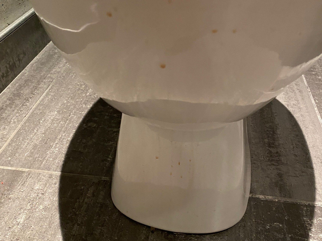 Grand Times Hotel - Quebec City Airport主图