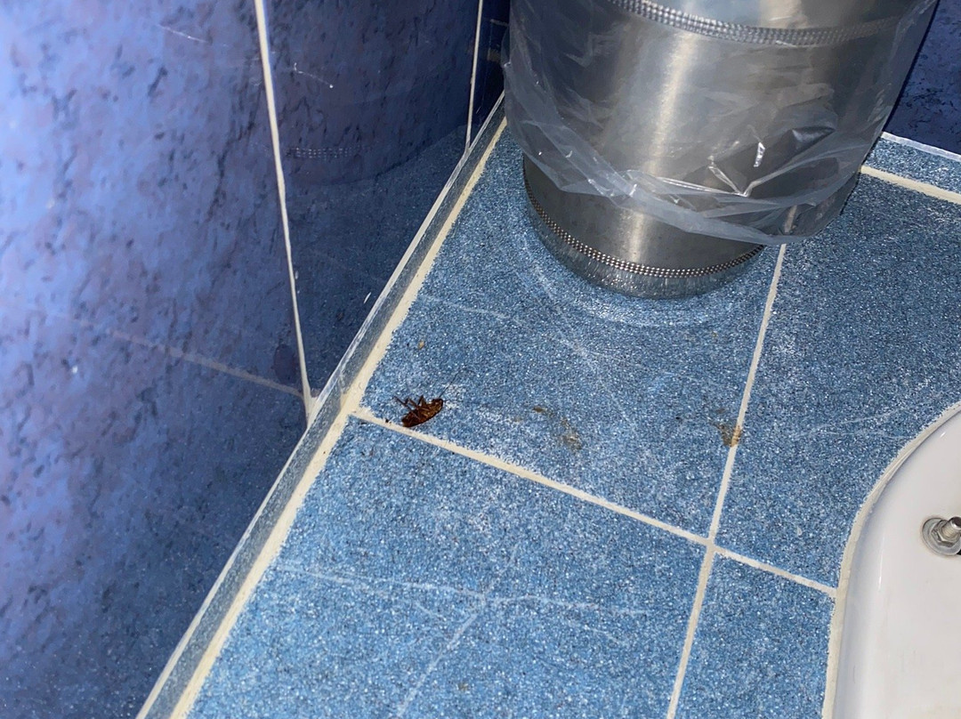 Capital O 114 Mandarin Carton主图