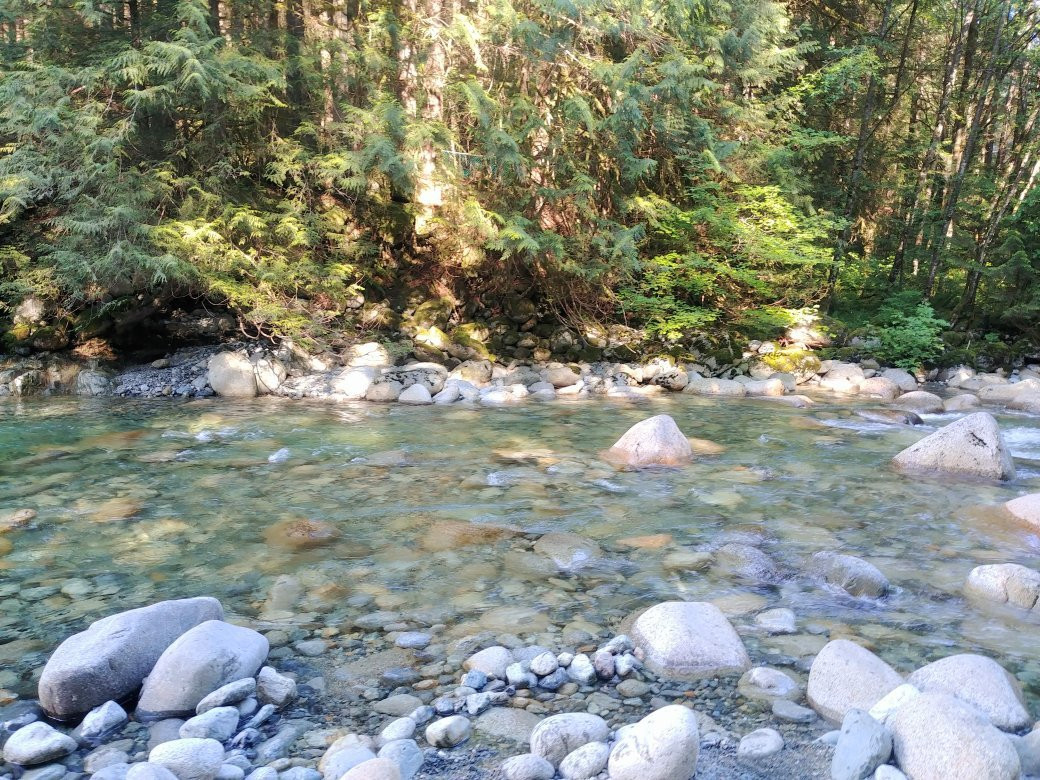 Lynn Headwaters Regional Park-北温哥华必去景点