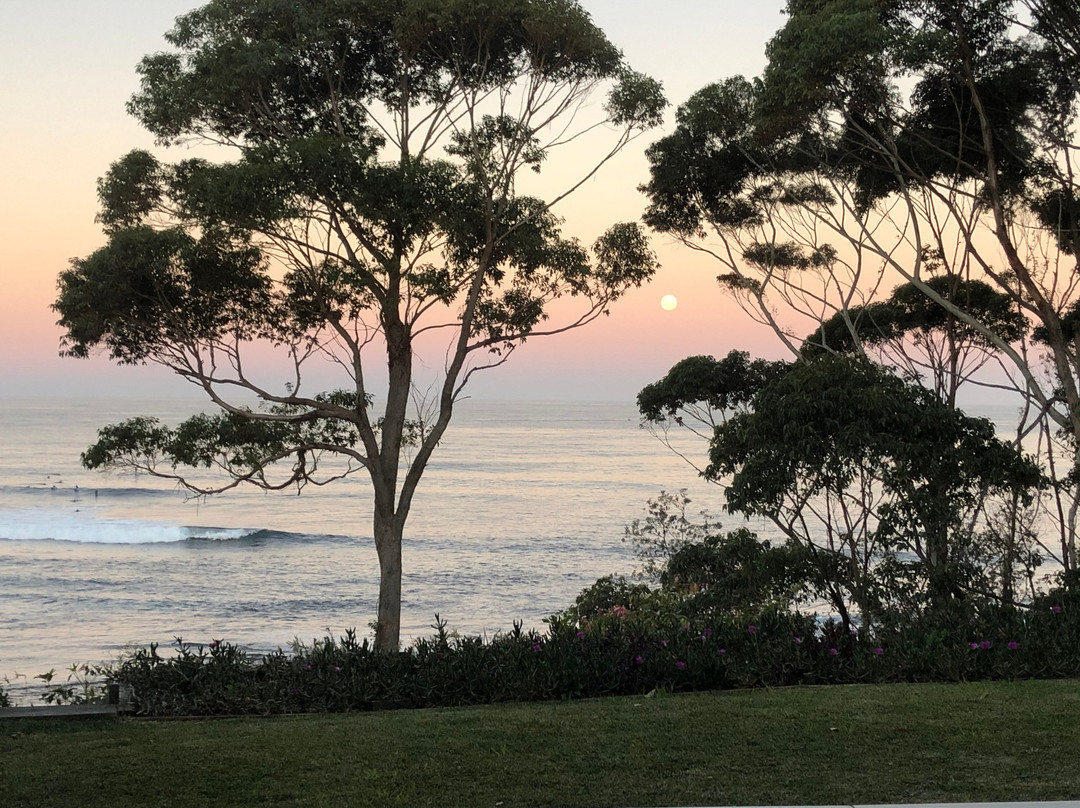 Mollymook Beach Waterfront主图