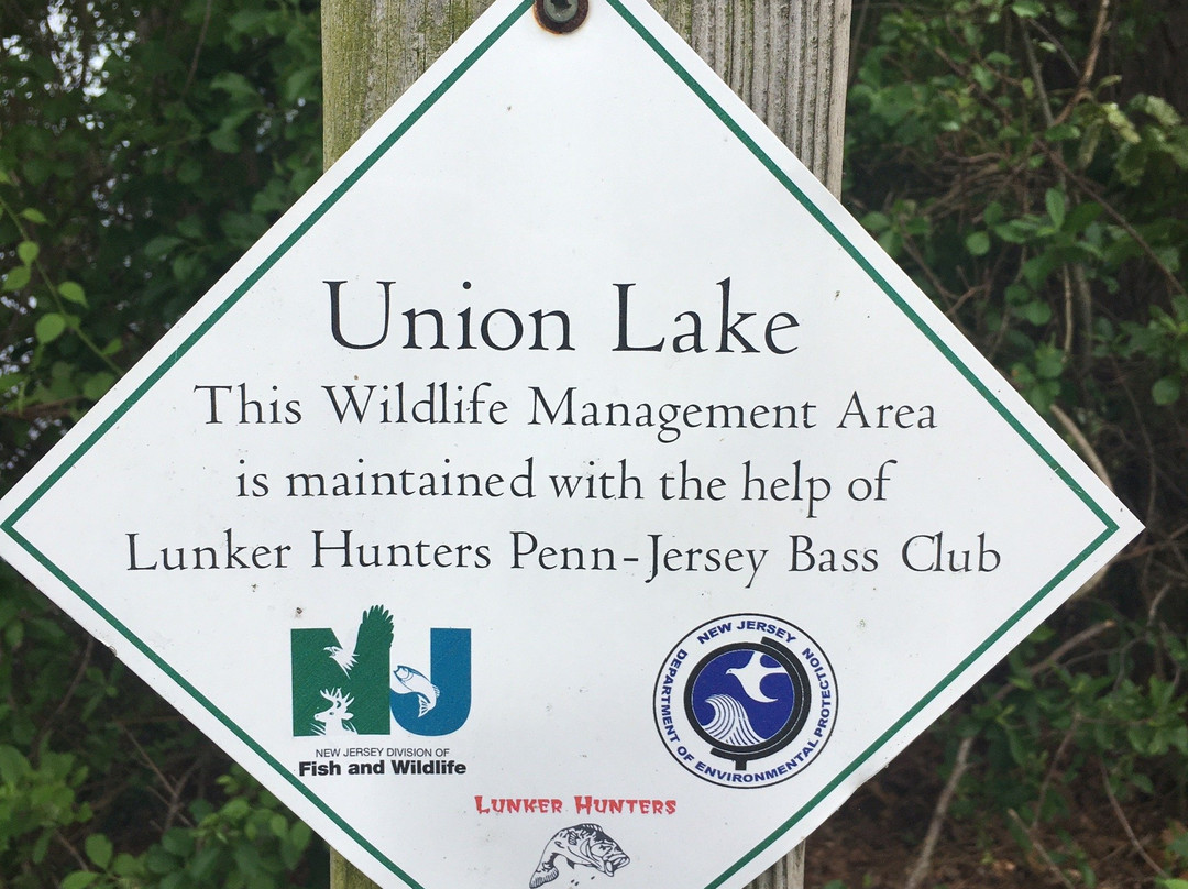 Union Lake Wildlife Management Area景点图片