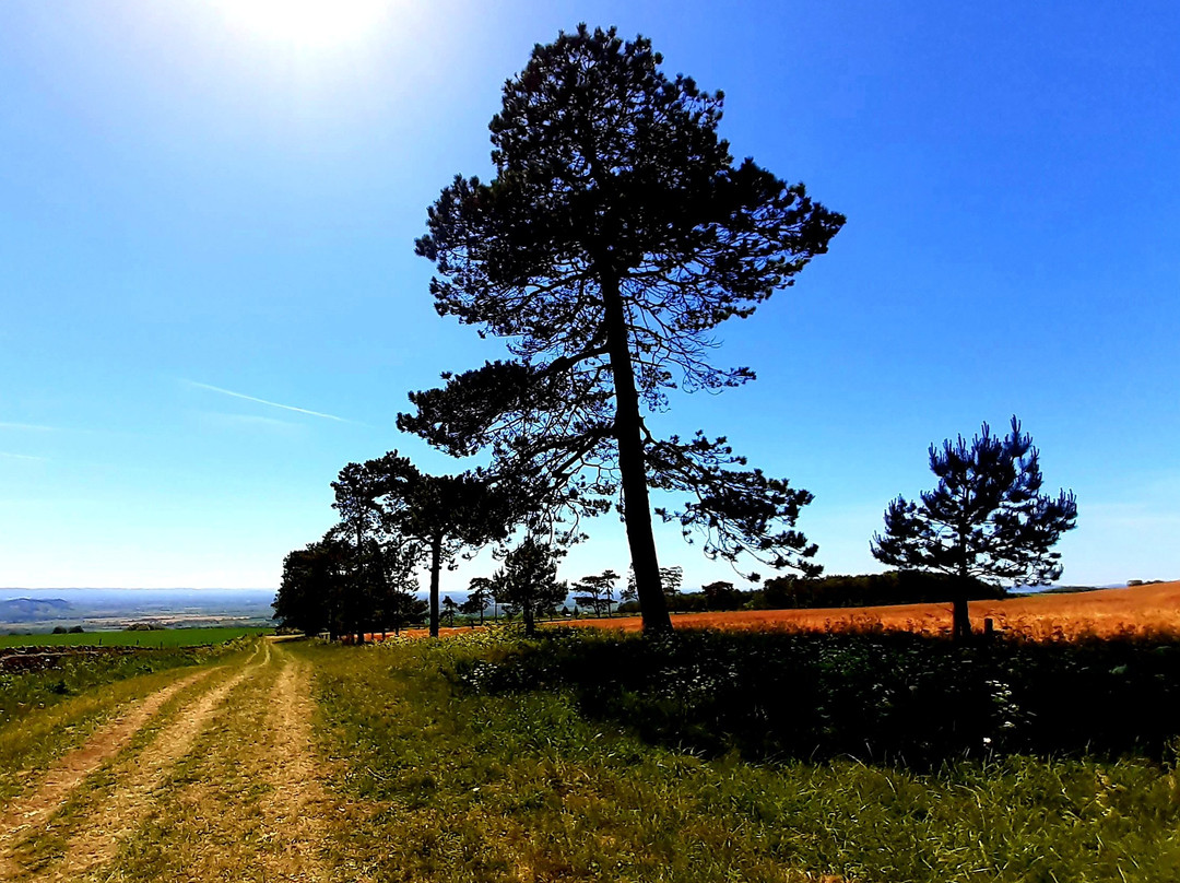 Bredon Hill景点图片