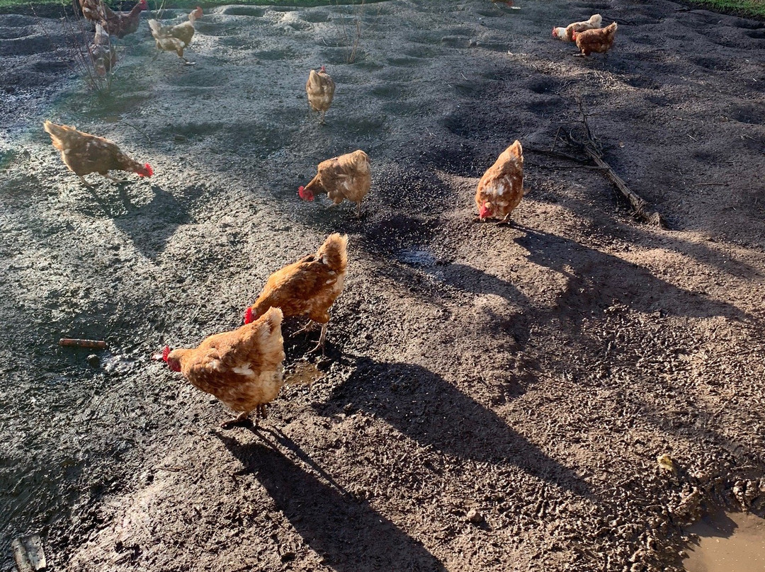 Breakaway Farmstay主图