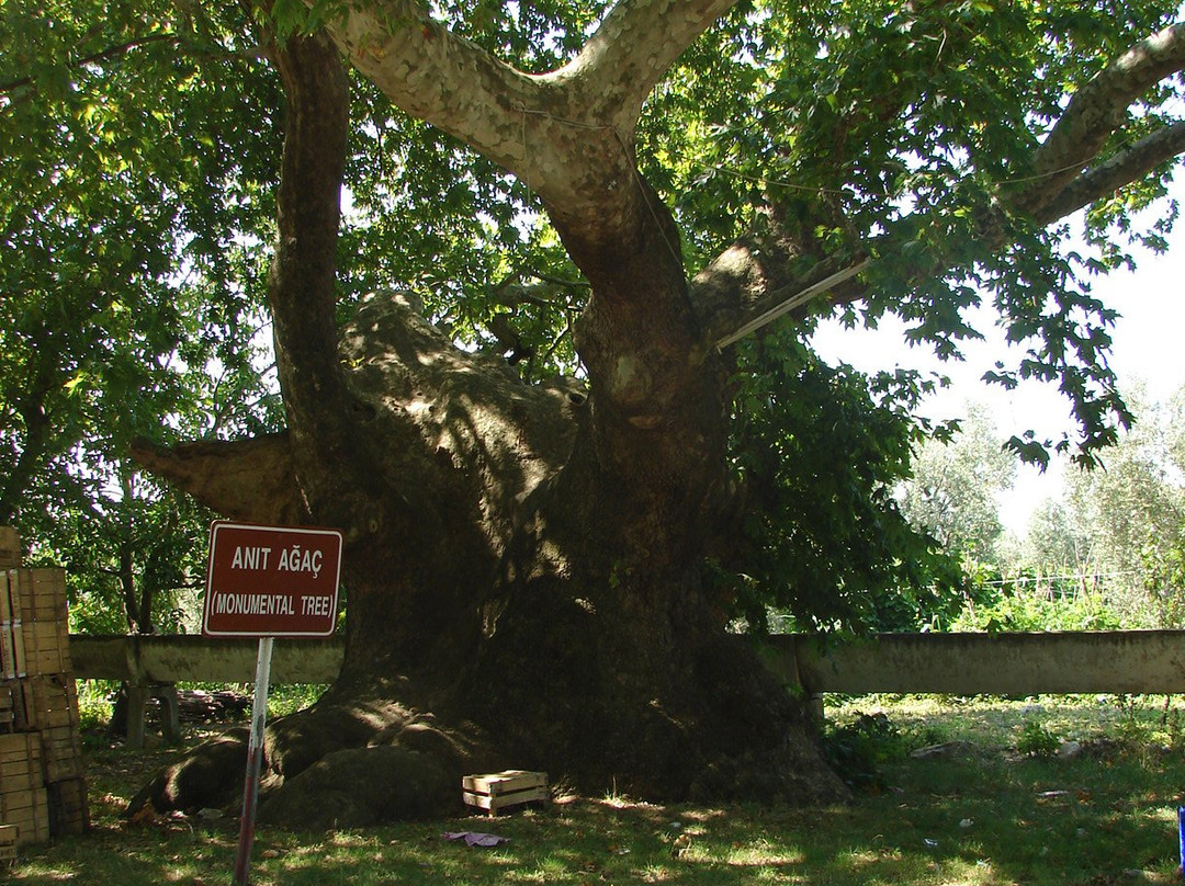 Elbeyli旅游攻略图片