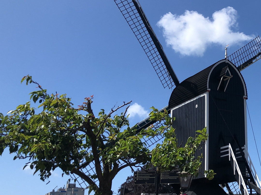 Molen de Put-莱顿必去景点