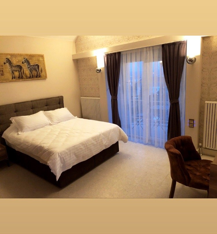 Blackmoon Villa Edirne主图