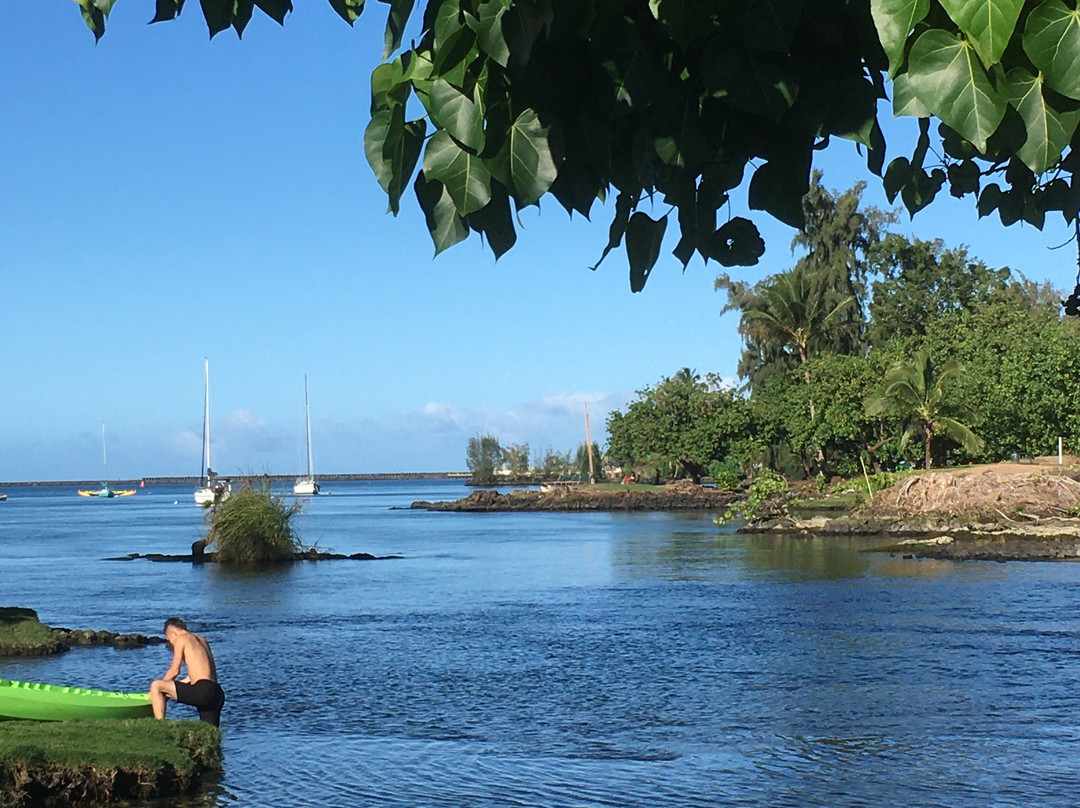 Reeds Bay Beach Park-希洛必去景点