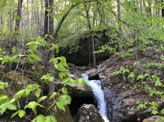 Wilderness Rider Buffalo Ranch & Adventure Park-Kingston必去景点