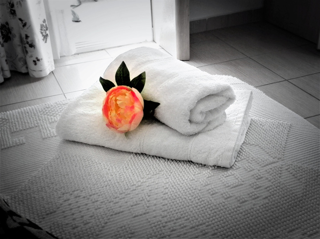 Evita's Studios主图