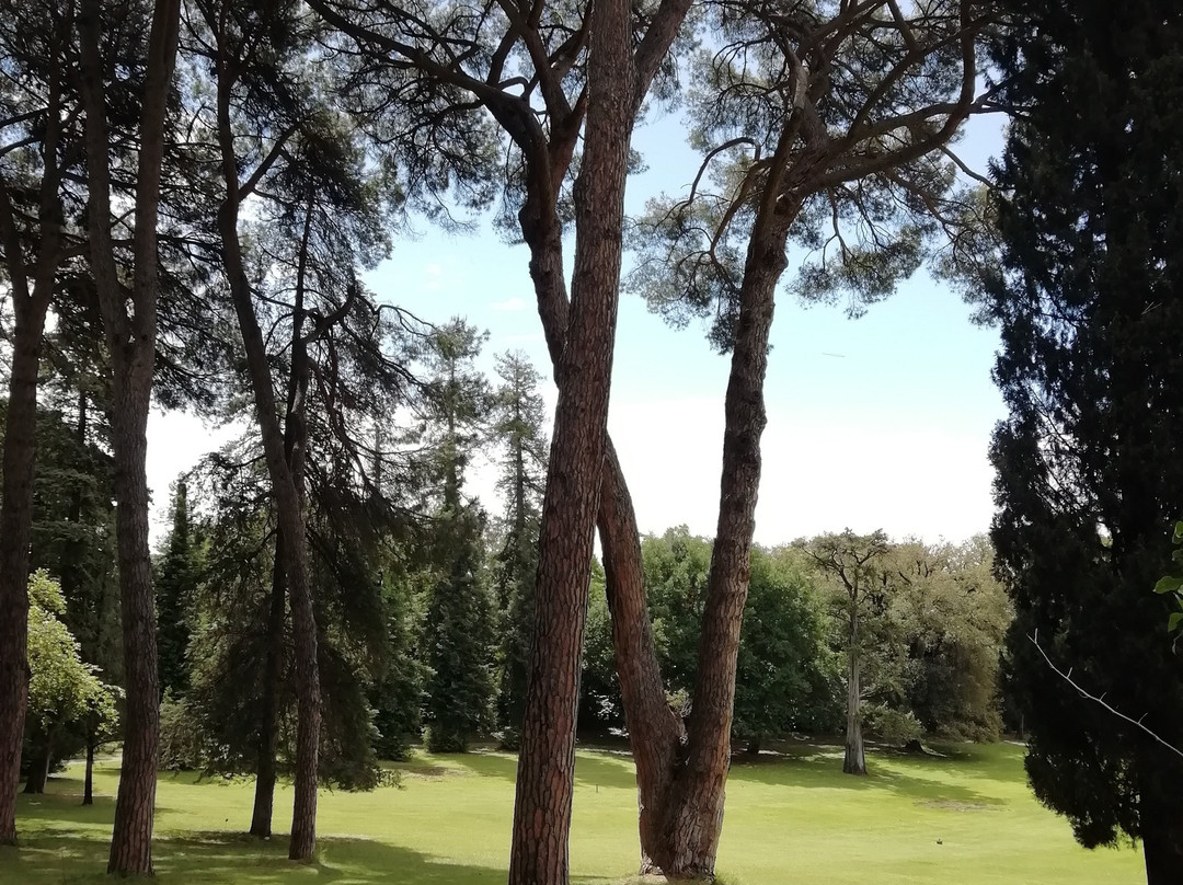 Giardino Inglese景点图片