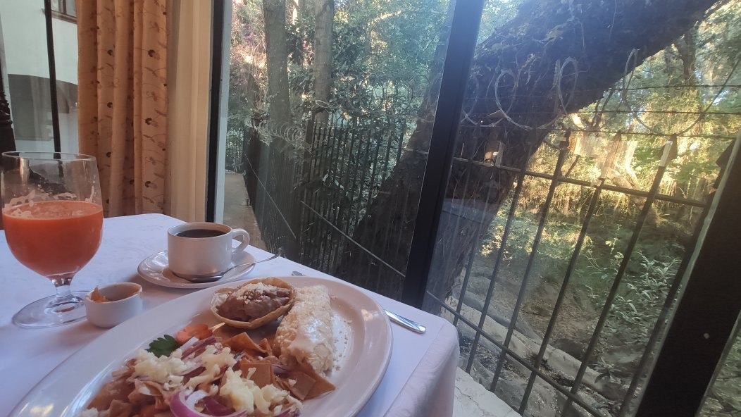 Hotel Mansion del Cupatitzio主图