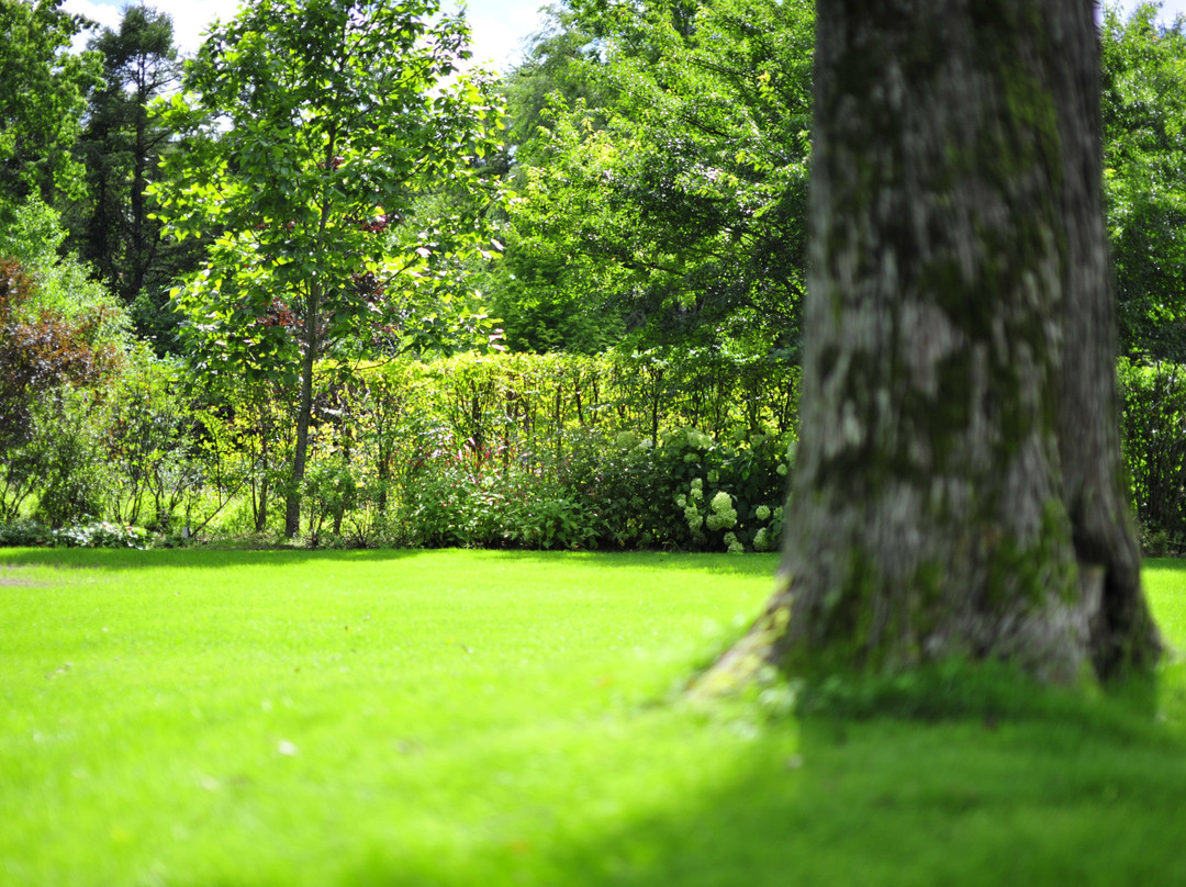 Ikoro no Mori-苫小牧市必去景点