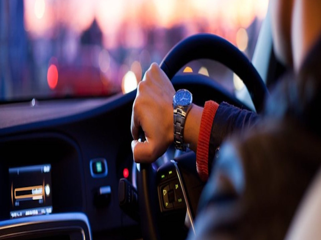 BEEP BEEP TOOT Shuttle Bus, Private Transfer & Tours-Daintree必去景点