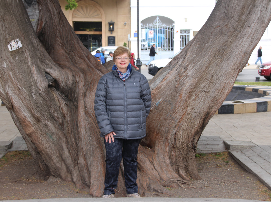 Plaza de Armas-蓬塔阿雷纳斯必去景点