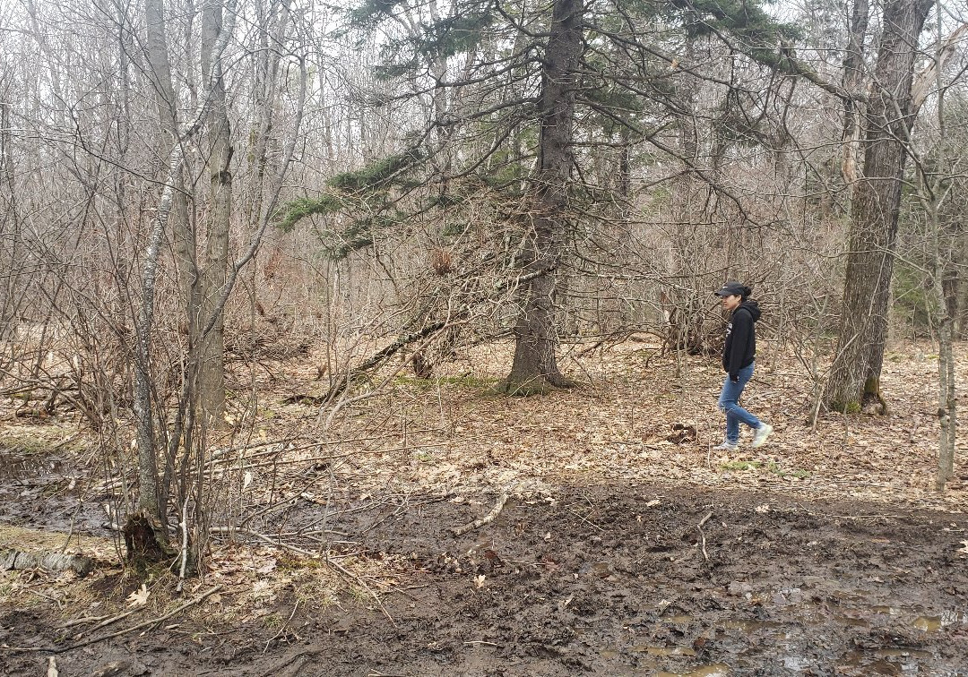 Mount Watatic-Ashburnham必去景点