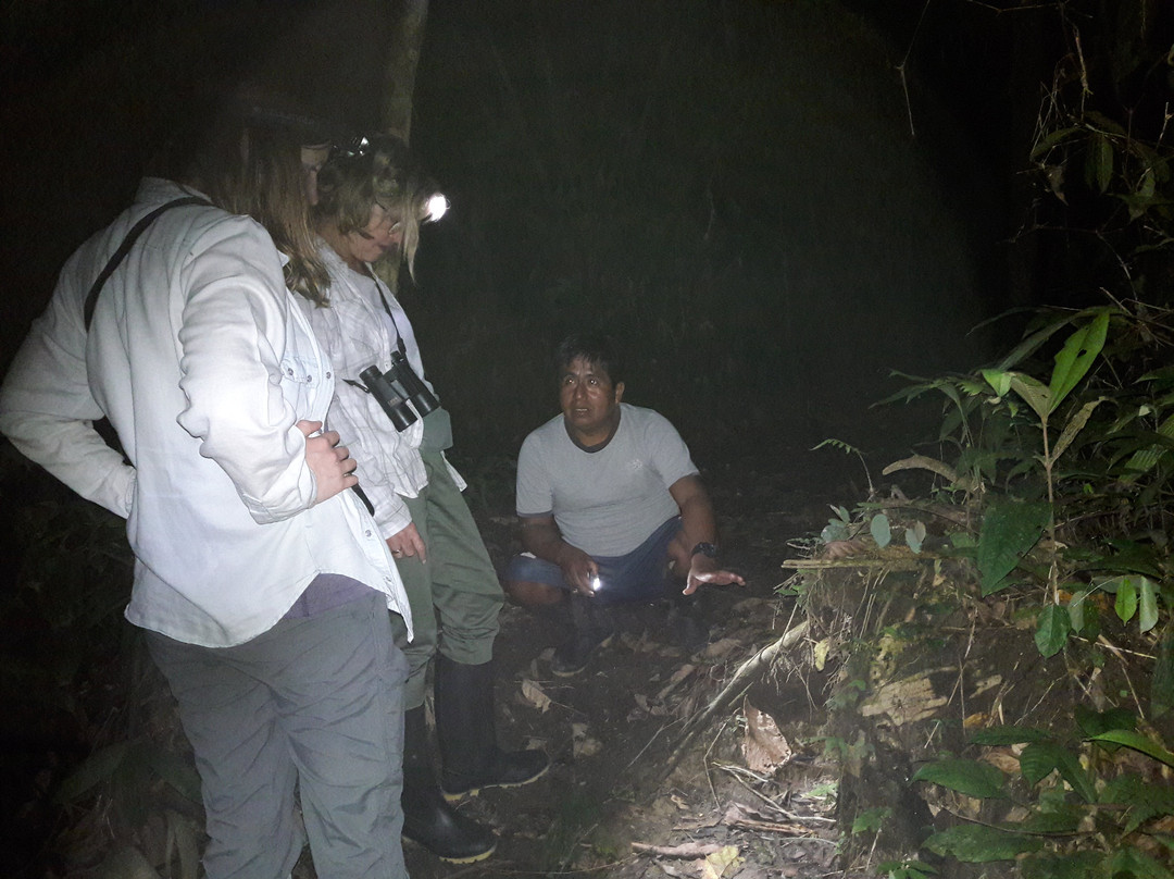 Bio Manu Expeditions-玛努国家公园必去景点