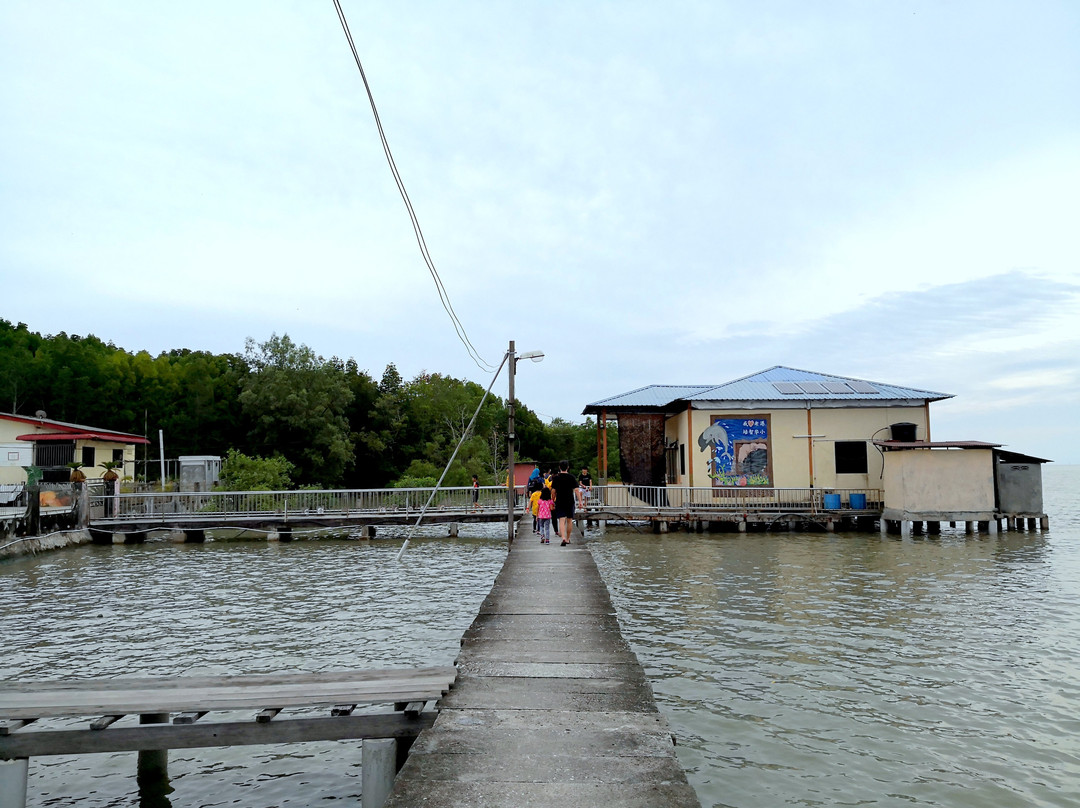 Kuala Sepetang Eco Tourism景点图片