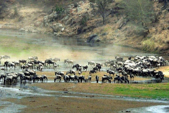 Kim'zebra Adventures and Safaris Limited-阿鲁沙必去景点