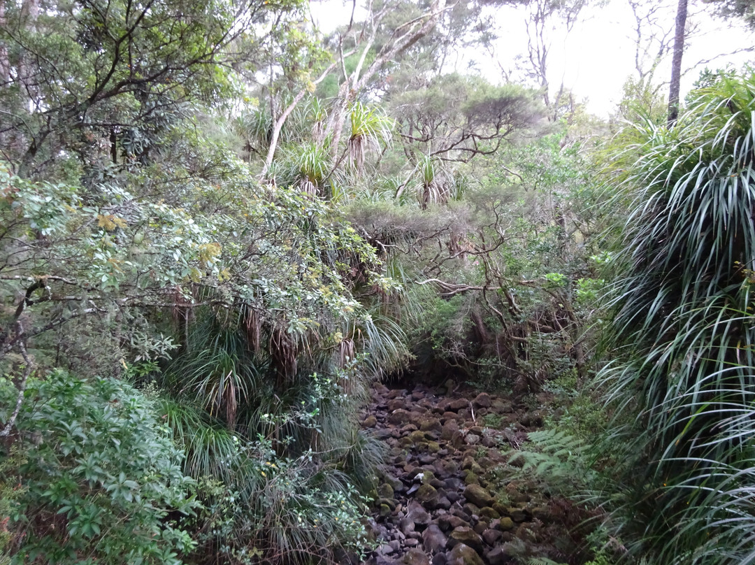 AH Reed Kauri Park景点图片