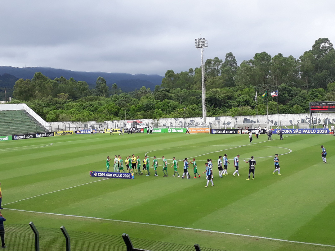 Francisco Ribeiro Nogueira Municipal Stadium景点图片
