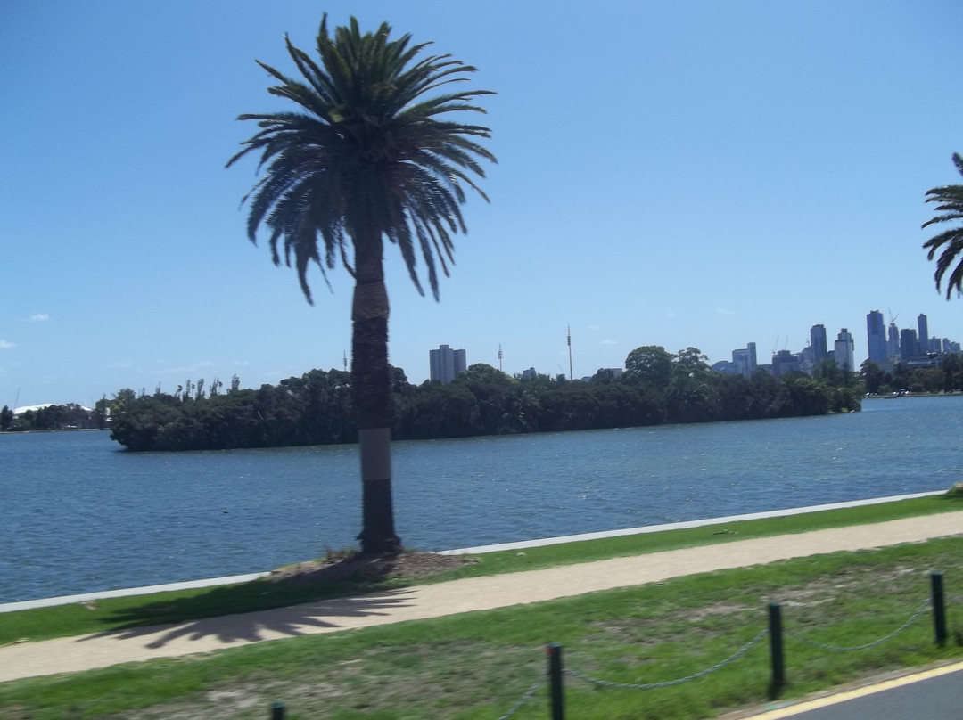 Albert Park Lake景点图片