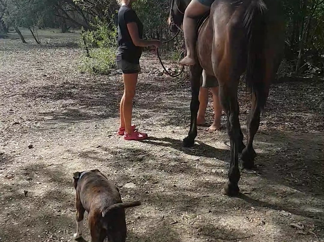 Friendship Riding Stables-Canaan必去景点