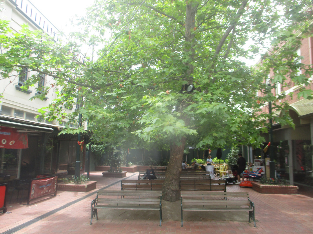 Maling Road-Canterbury必去景点