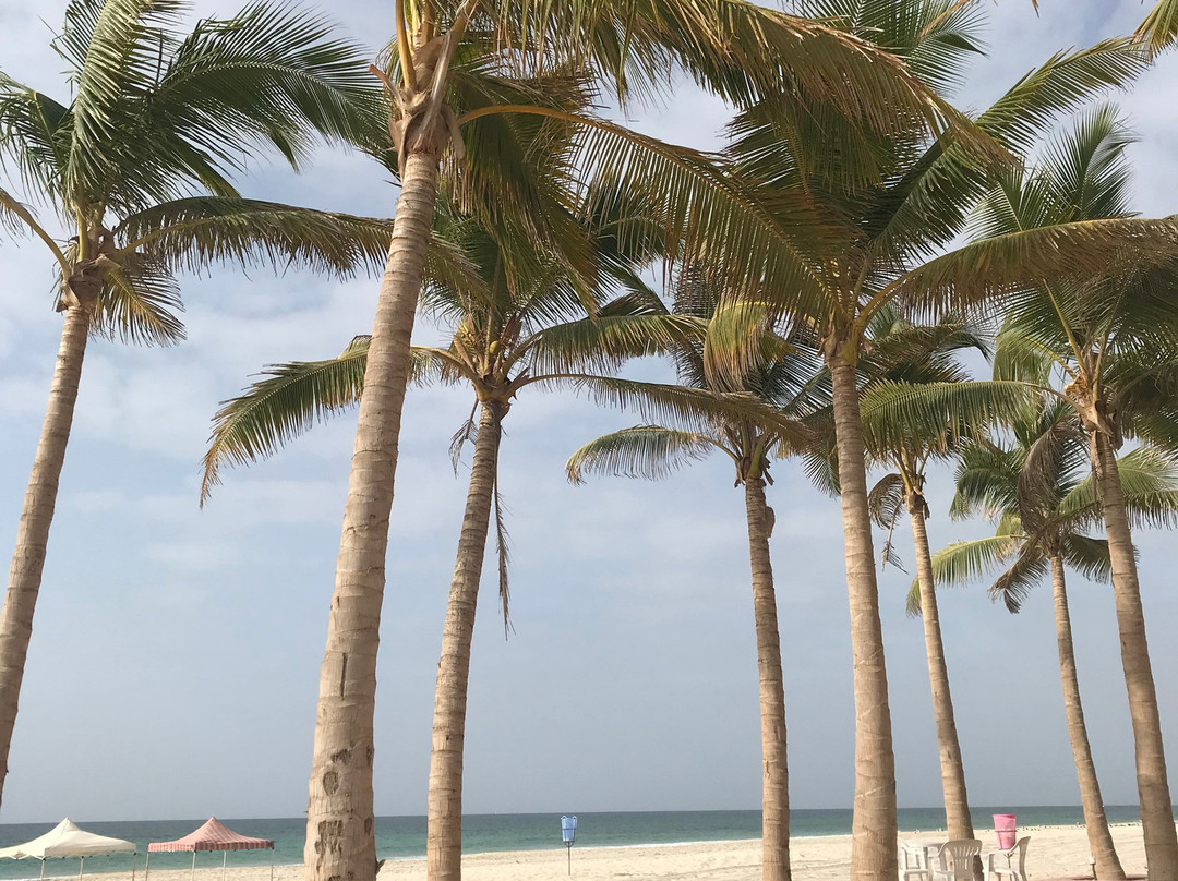 Almansor Furnished Apartment 3主图