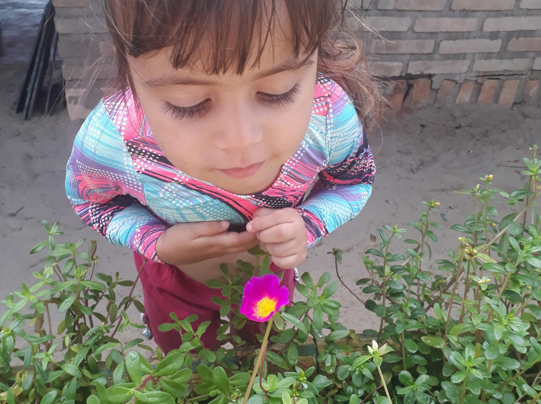 Pousada Barra Velha主图