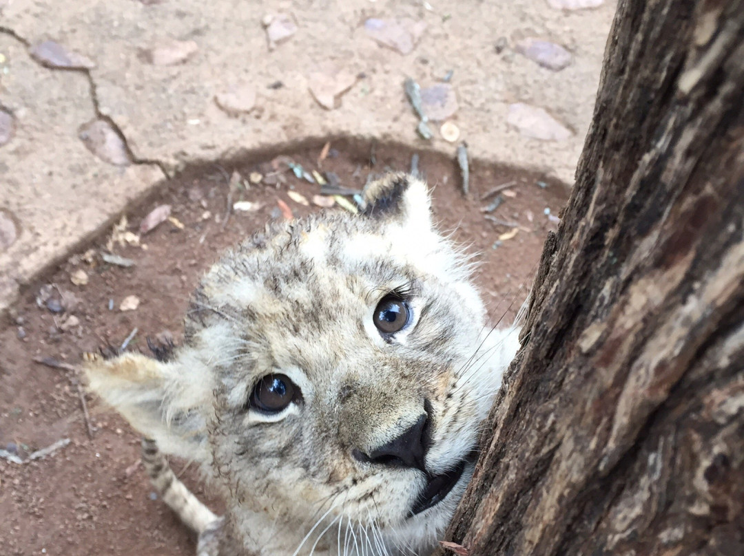 Pongoa Travel-南非西北必去景点