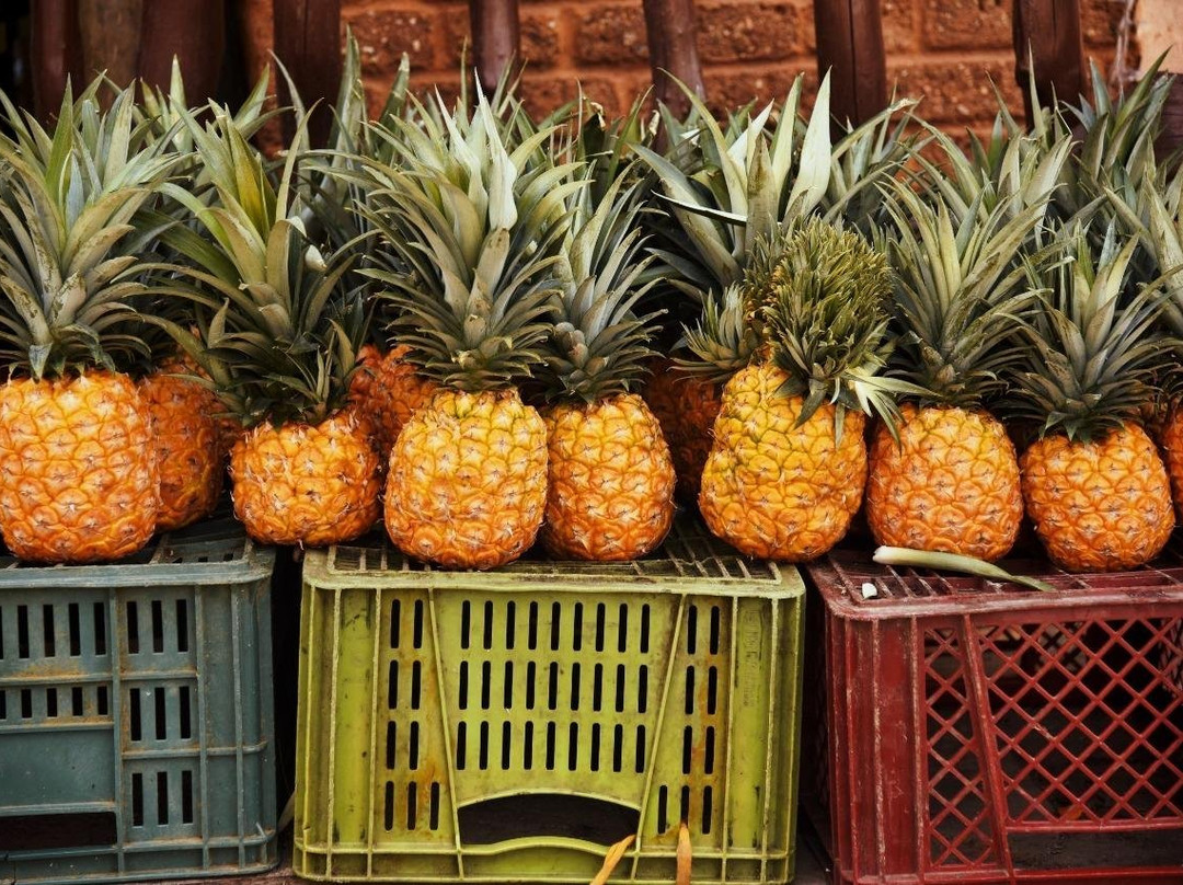 Voyages Colombie Sur Mesure-麦德林必去景点