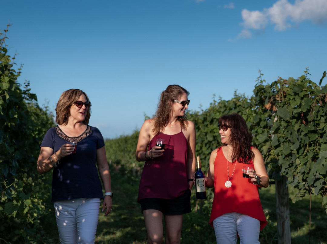 Cassel Vineyards of Hershey景点图片