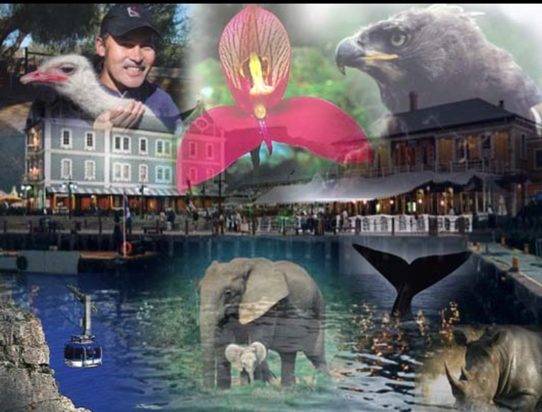 Explore the Cape Tours & Safaris-开普敦中心区必去景点