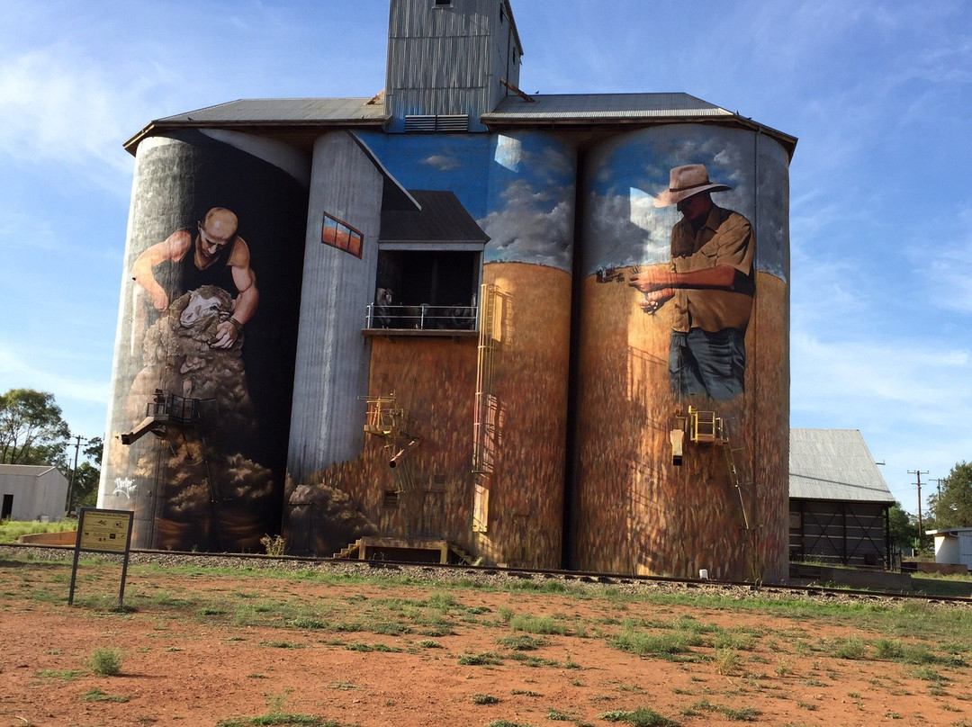 Weethalle Silo Art-Weethalle必去景点