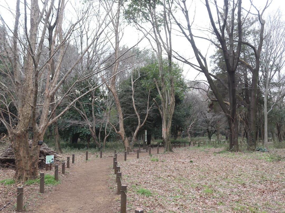 Musashi Kokubunji Park-国分寺市必去景点
