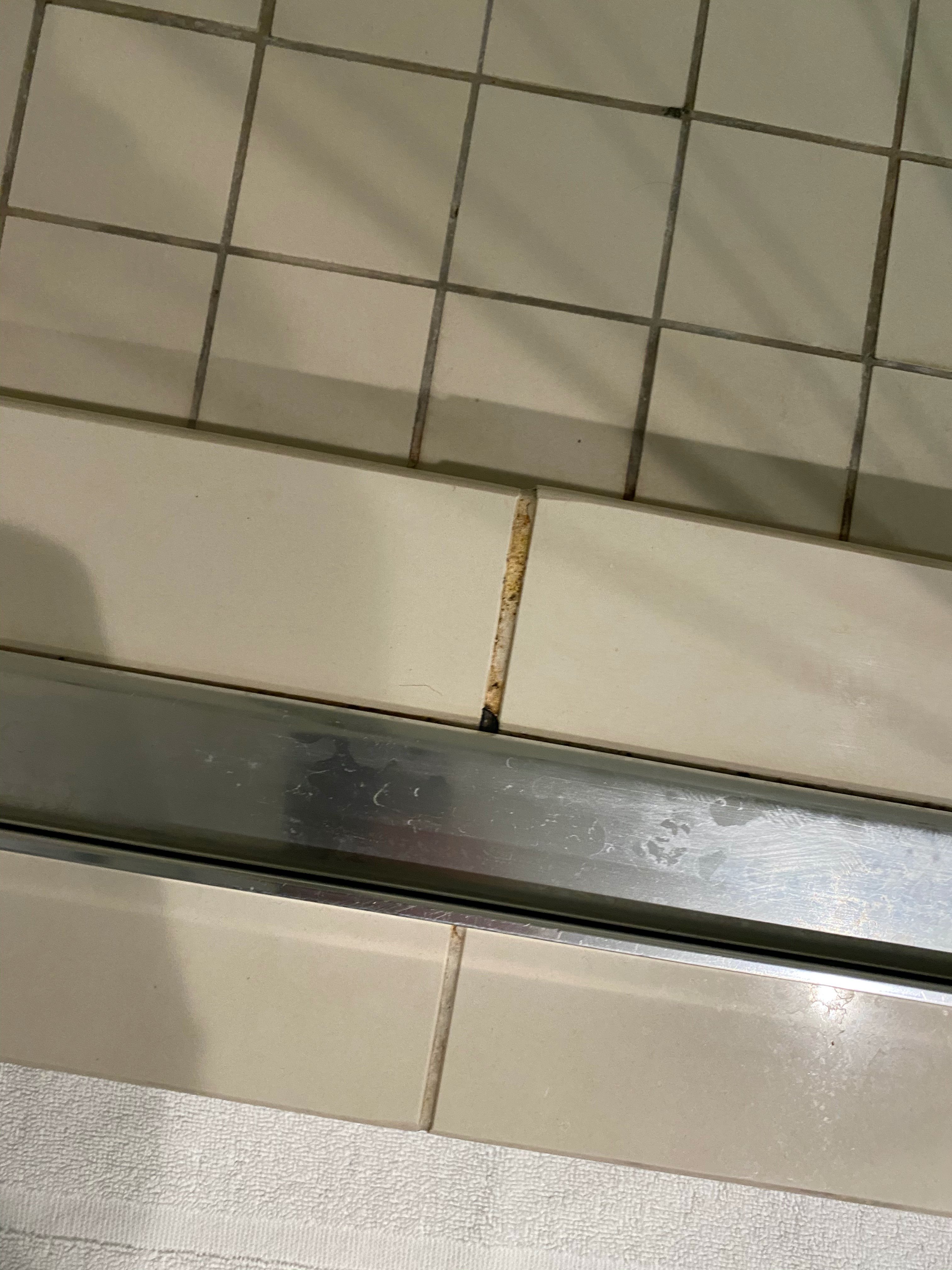 Hyatt Place Boca Raton/Downtown-浴室