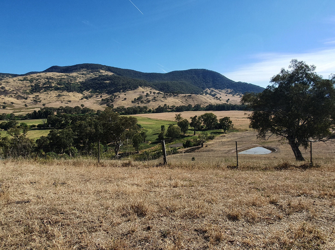 Mt Alfred Gap Lookout-Walwa必去景点
