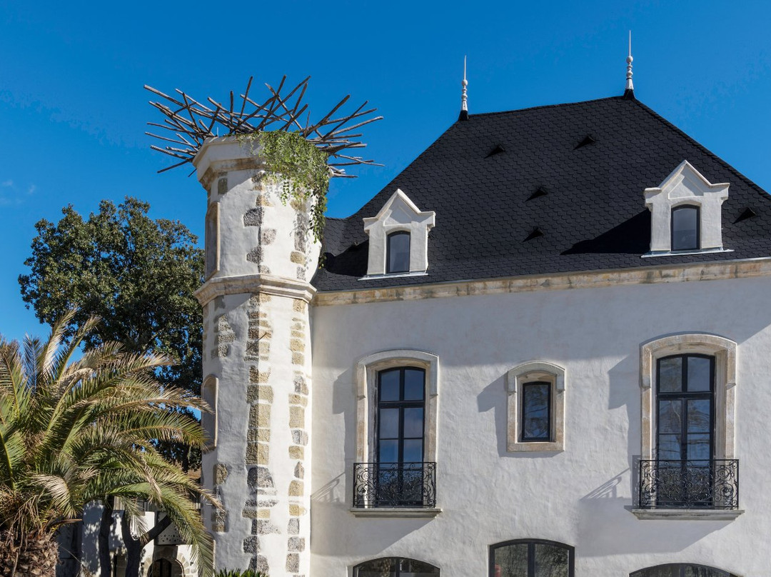 Domaine Tarbouriech主图